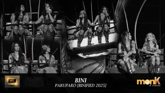 Paruparo Lyrics English Meaning — Flames | Bini