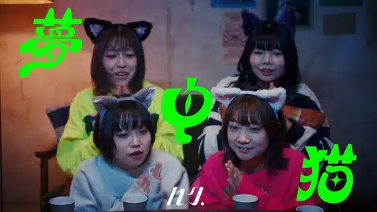 Patapata Cat Lyrics With English Translation: Haku.