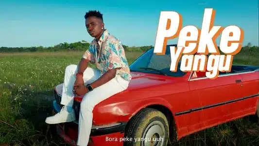 Peke Yangu Lyrics {English Translation} – Centano