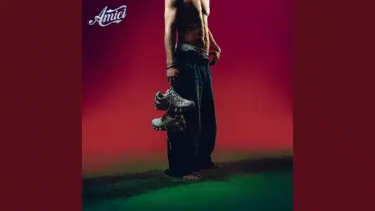 Perdigiorno Lyrics With English Translation | Plasma 8003