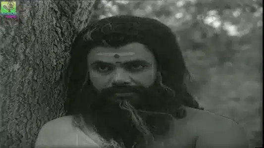 Poomanam Poothu Thalirthu Lyrics Translation: Super Jimni | Anil Kovalam