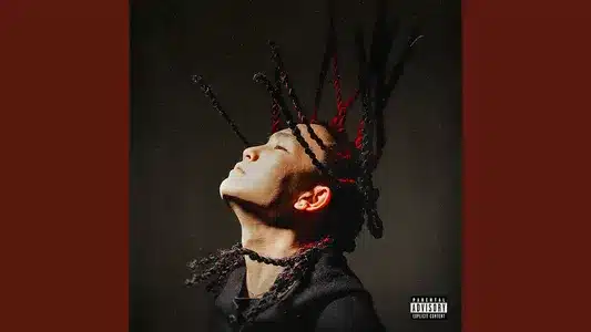 Rap Boy Pt2 Lyrics English Translation – Little Junior | Lj