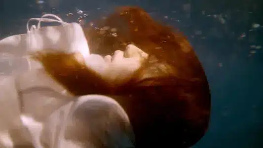 Rinne Lyrics [English Translation]: Nishina