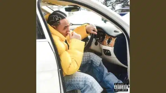 Siroi Koibito Lyrics (with English Meaning) - Mc Tyson