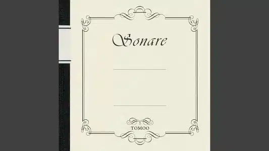 Sonare Lyrics Translated to English – Tomoo