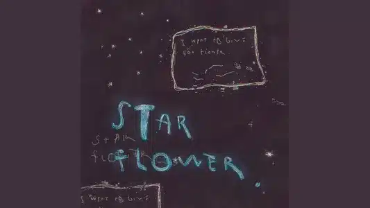 Star Flower Lyrics {English Translation} | Chilli Beans.