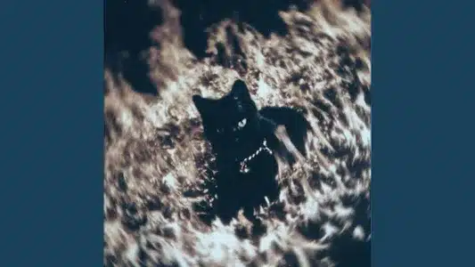 Stockholmsbrud Lyrics (with English Meaning) - Malik Dalasi