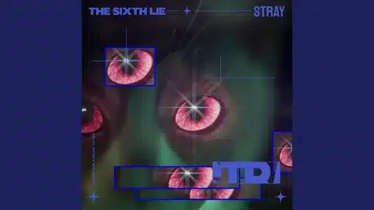 Stray Lyrics English (with Translation) | The Sixth Lie