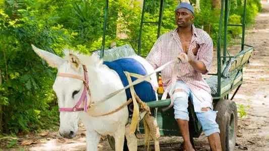 Success (Feat. Jux) Lyrics English Meaning | I'm Blessed | Walter Chilambo