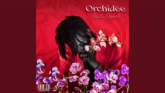 Supporter Lyrics English Meaning — Orchidée | Himra | Paulo Chakal