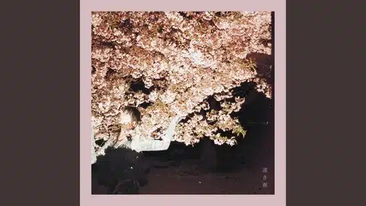 Tooki Haru Lyrics Meaning | Tameiki | Haruna