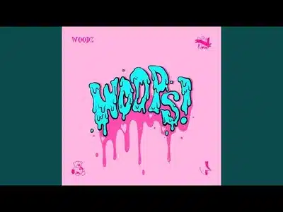 Trigger Lyrics Meaning — Woops! | Woodz