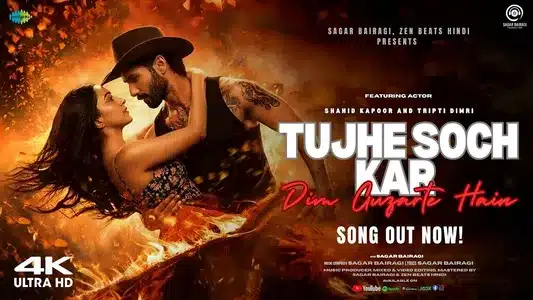 Tujhe Soch Kar Din Guzarte Hai Lyrics {English Meaning}: Sagar Bairagi