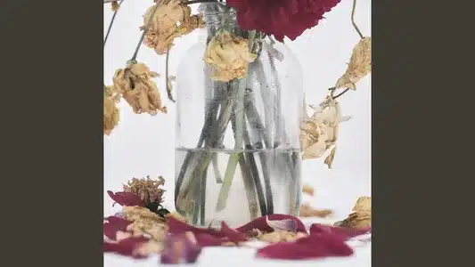 Ultra Jesus Lyrics Meaning — Camellia | Rusha | Tsubaki