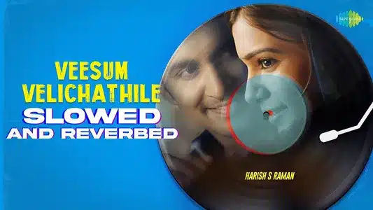Veesum Velichathile Lyrics Translation — Naan Ee | G Sahithi | Karthik