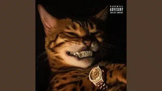 Voila Lyrics Translation – Ия | Ния