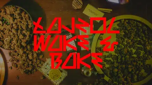 Wake & Bake Lyrics Translation: Łajzol Serious | Da Vosk Docta | Łajzol