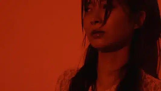 Waruihito Lyrics Translation — Utaemo Shinai Koi Bakkada | Osage