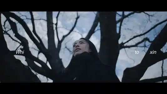 Whitoxin Lyrics Meaning (in English): Clan Queen