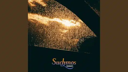 Whole Of Flower Lyrics Meaning: Sunburst | Suchmos