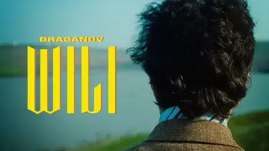 Wili Lyrics With English Meaning - Draganov