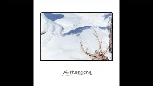 Winterboy Lyrics (English Meaning) | The Shes Gone