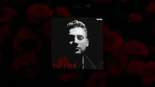 Yak Beni De Lyrics [English Meaning] — Can Togrulca