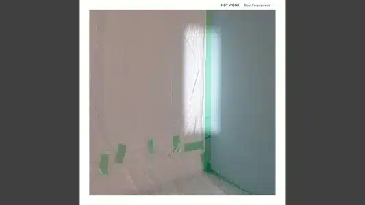 About Foreverness Lyrics English (with Translation): Not Wonk