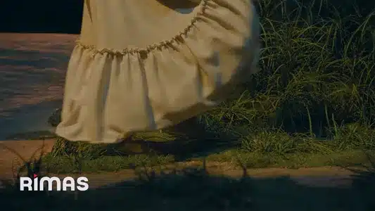 Alambre Púa Lyrics With English Translation – Bad Bunny