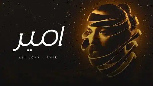 Amir Lyrics {English Meaning}: Ali Loka