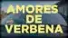 Amores De Verbena Lyrics Translated to English — Los Vinagres