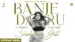 Banje Daaru Lyrics [English Translation]: Shehnaaz Gill