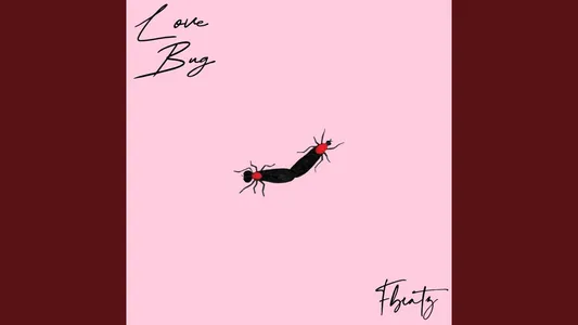 Bark ‘In Mushin Lyrics English Meaning – Love Bug | Fbeatz