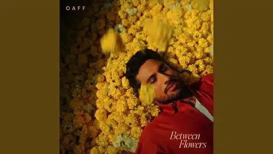 Between Flowers Lyrics {English Translation} – Amira Gill | Oaff