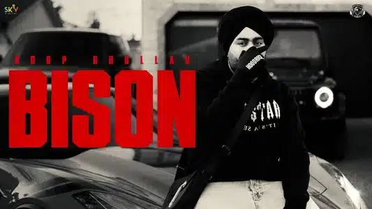 Bison Lyrics Meaning: Extent! | Roop Bhullar | Rxtro