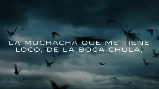 Bodega Baddie Lyrics English Translation — Am I The Drama? | Cardi B