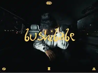 Bushibabe Lyrics Translation - Hyperactif | R2