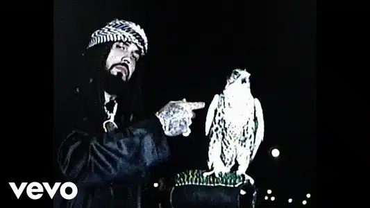 Ca$Hi Lyrics English (with Translation): Brray