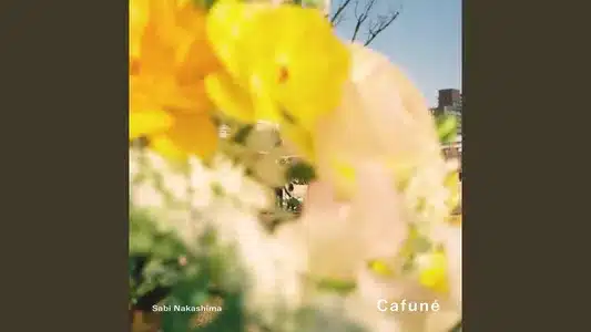 Cafuné Lyrics {English Meaning} – Nakashima Sabi