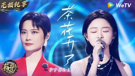 茶花开了,该回家了 (《茶花开了》说唱版) Lyrics [English Translation] – 加木 | 王睿卓