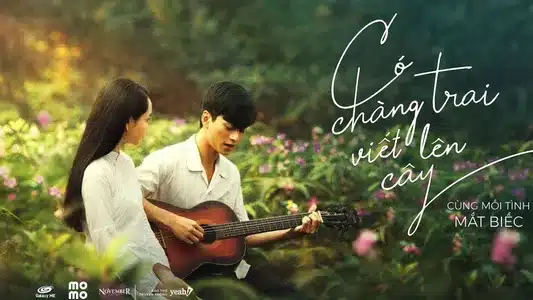 Có Chàng Trai Viết Lên Cây Lyrics Meaning - Cinelove | Phan Mạnh Quỳnh