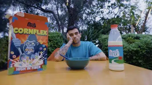 Cornflex Lyrics English (Translation) | Boumph! | The Synaptik