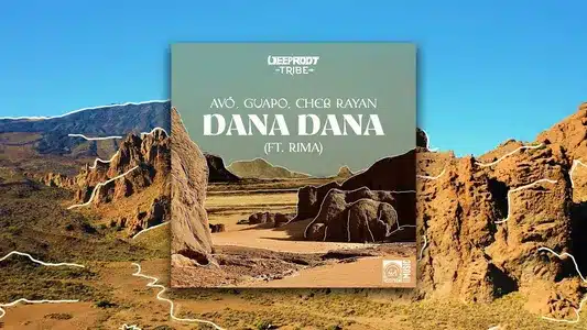 Dana Dana Lyrics {English Translation} — Avö | Guapo