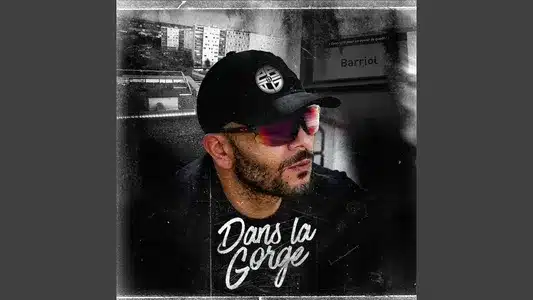 Dans La Jungle Lyrics Meaning — Dans La Gorge | Zbig