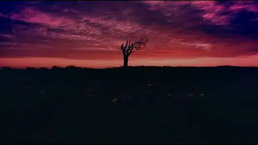 Dawn Yarn Lyrics English (Translation) – Heaven In Her Arms