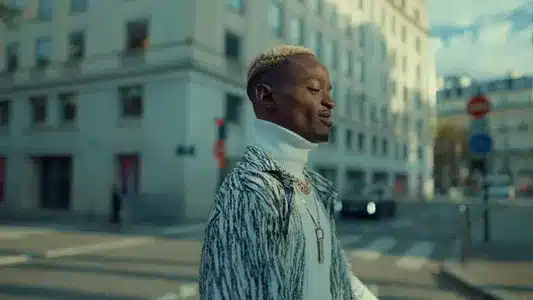 Diki Diki Lyrics Meaning (in English) - Petit Fally