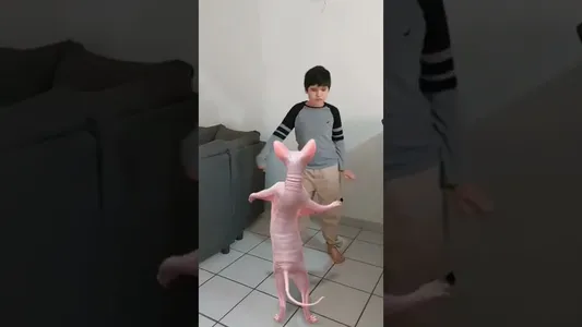 El Primero Lyrics Meaning (in English) | Gabriel Bailon