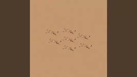 Everyday Lyrics English (Translation) | Bialystocks