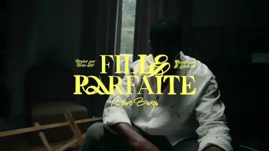 Fille Parfaite Lyrics {English Translation} — Celine Banza