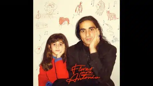 Flores Para Antonio Lyrics English (with Translation) | Alba Flores